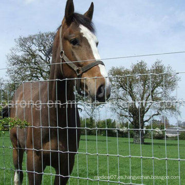 Cerca del caballo de bisagra tejida de acero galvanizado de 5 pies